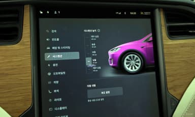 Model X
