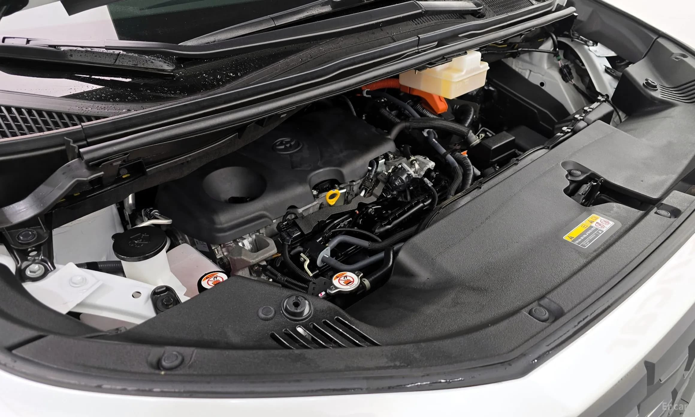 Alphard 4th Generation
