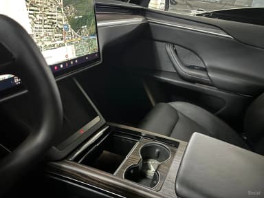 Model X