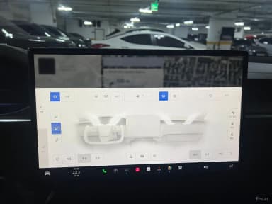 Model X