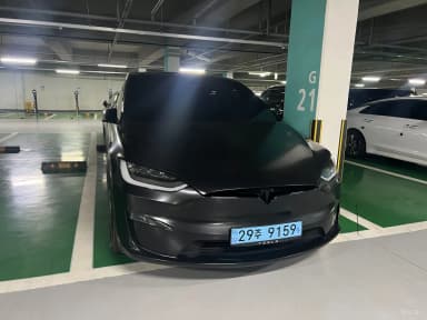 Model X
