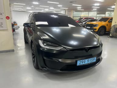 Model X
