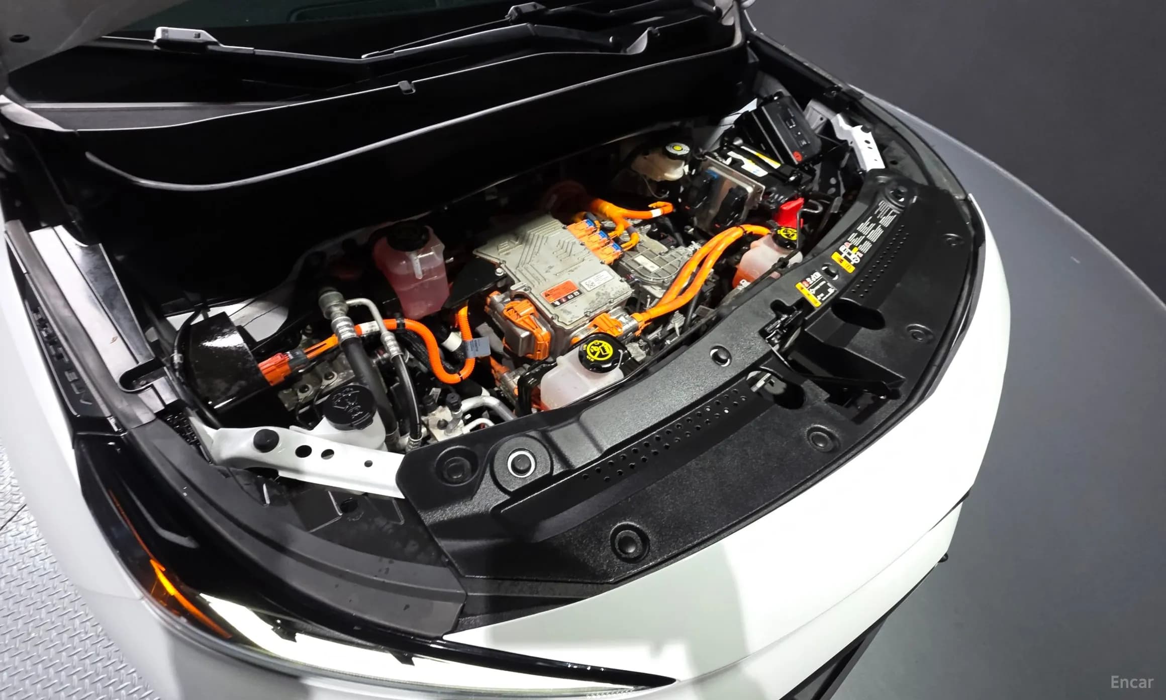 Volt EUV