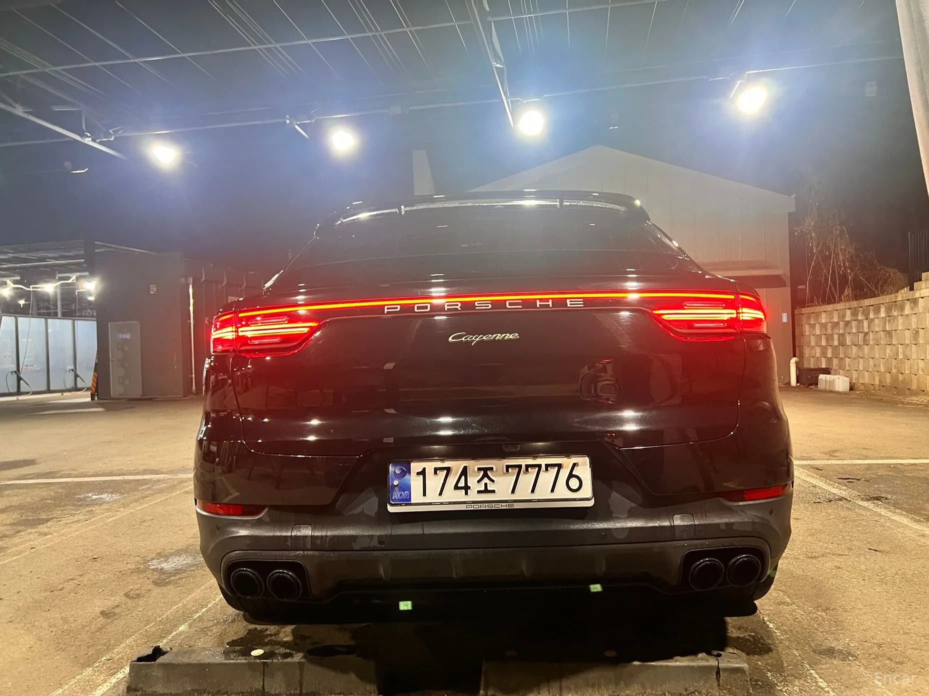 Cayenne (PO536)