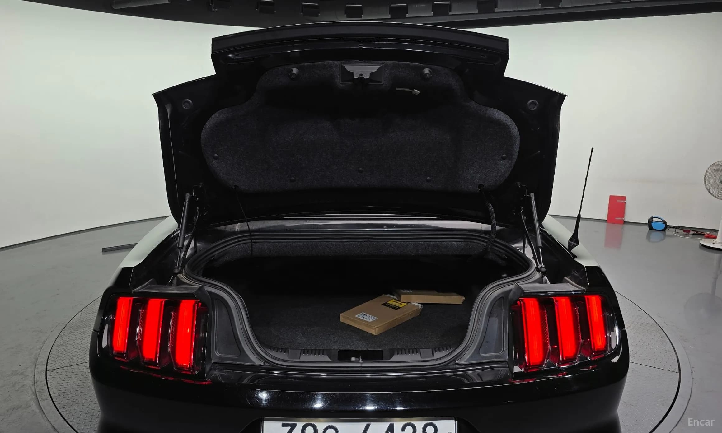 Mustang