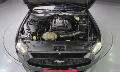 Mustang