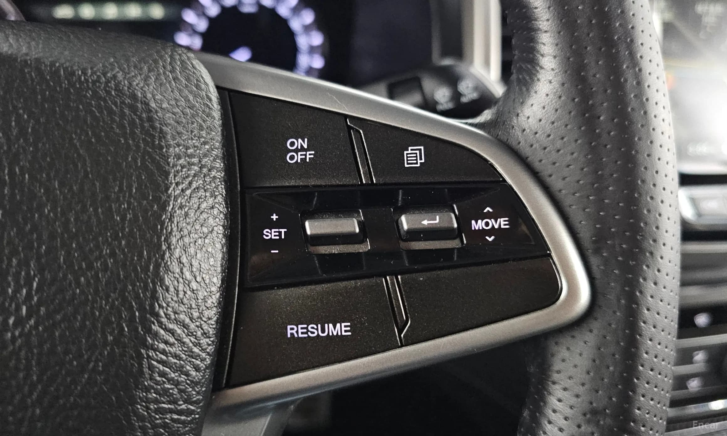 Rexton Sports
