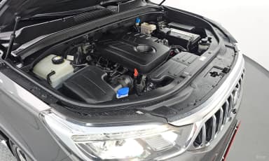 Rexton Sports