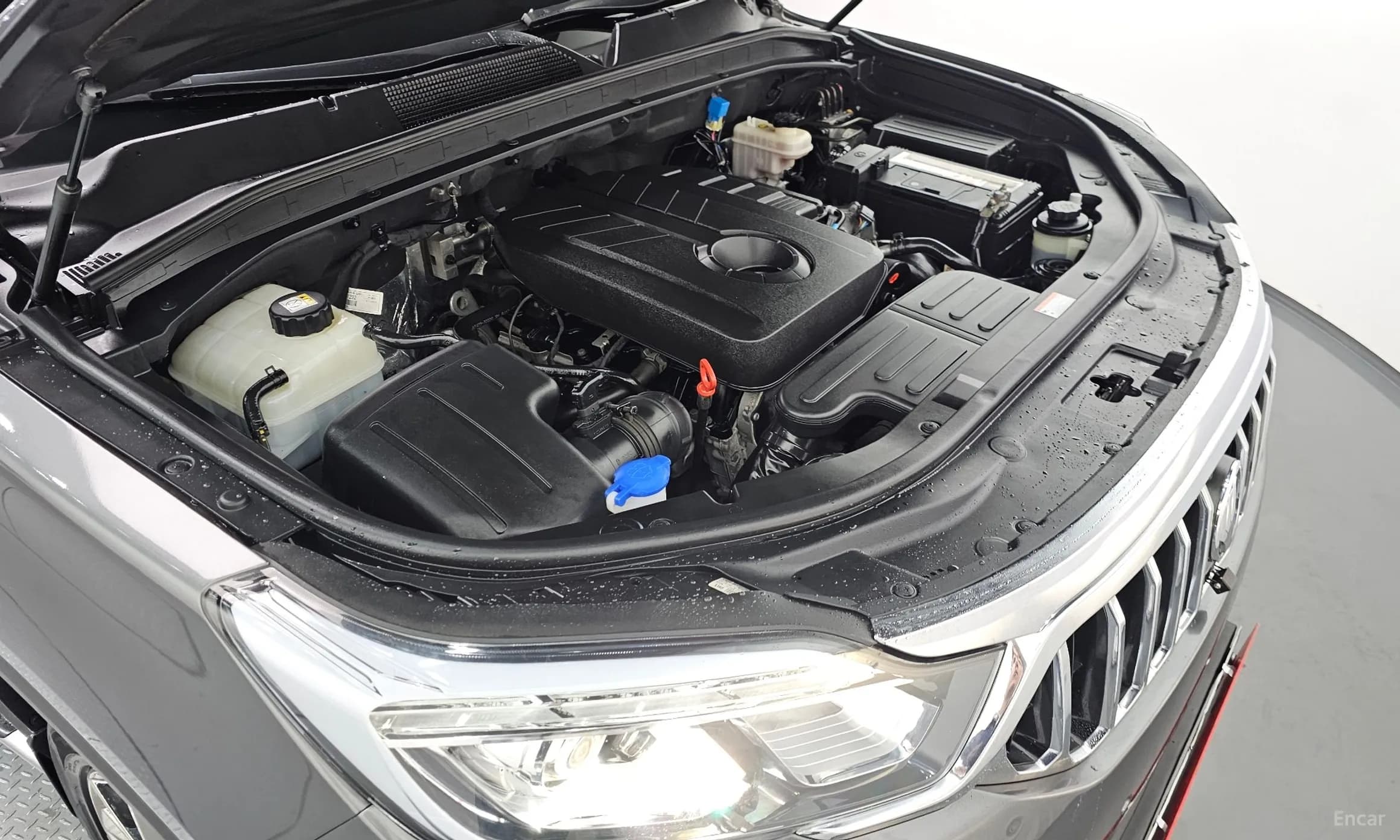 Rexton Sports