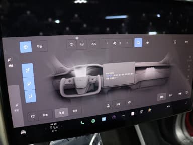 Model X