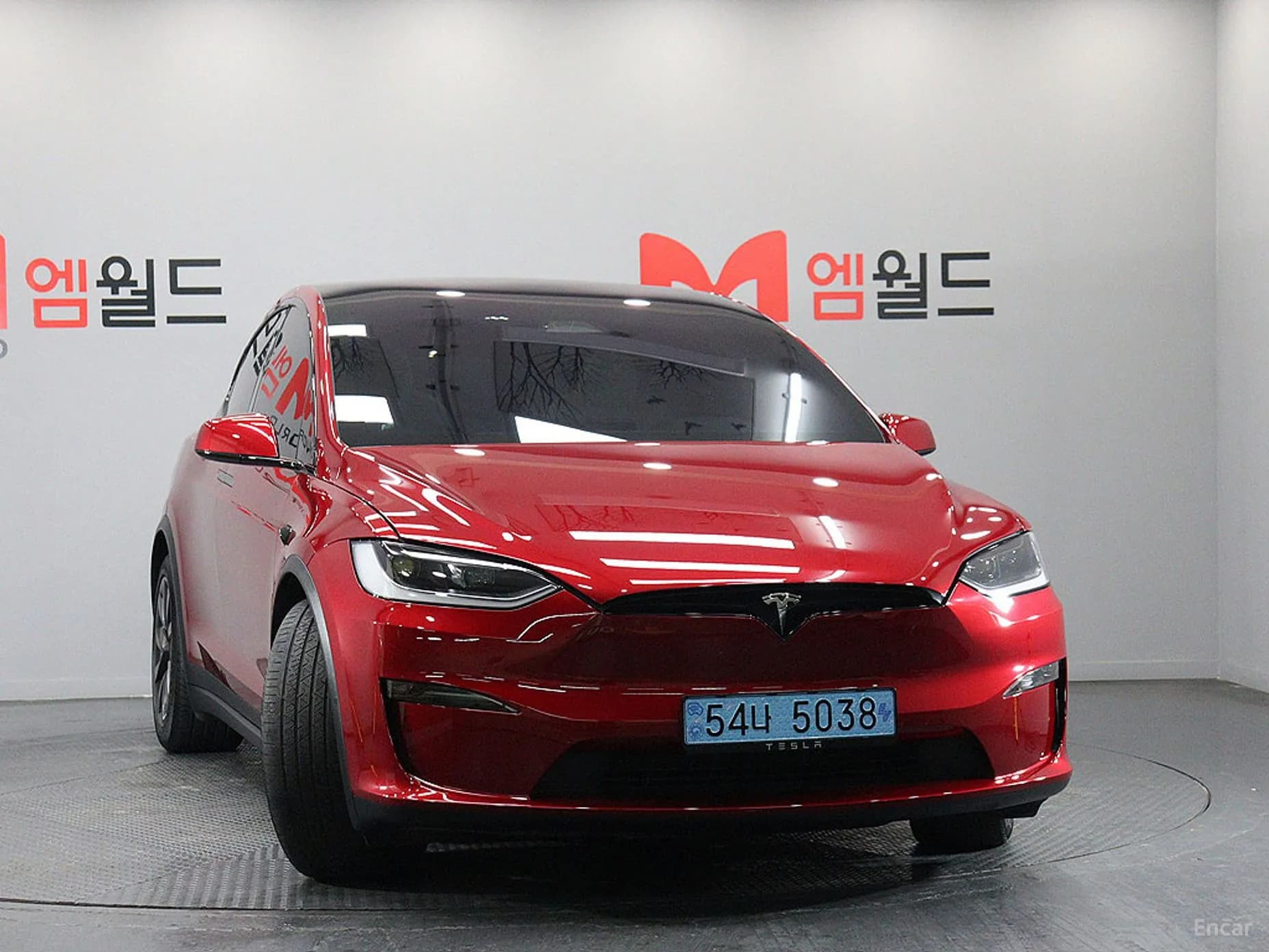 Model X