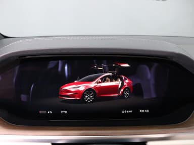 Model X