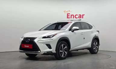 NX300h