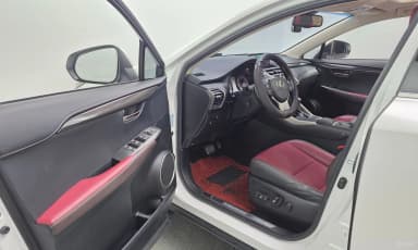 NX300h