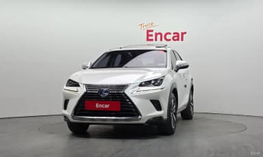 NX300h