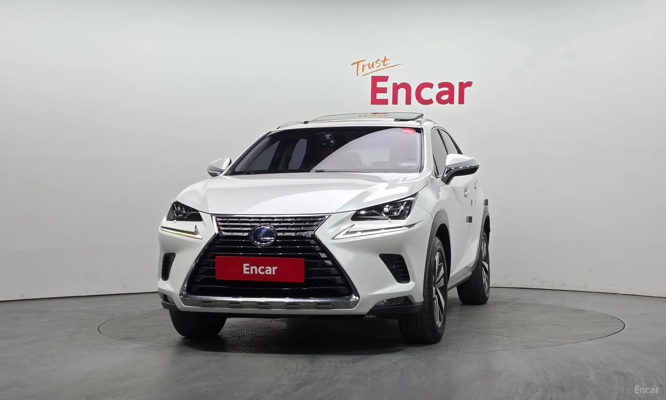 NX300h