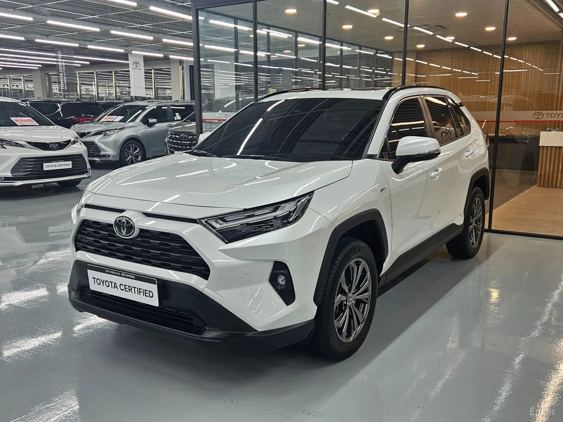 RAV4 5th Generation