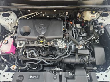 RAV4 5th Generation