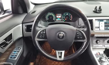 New XF