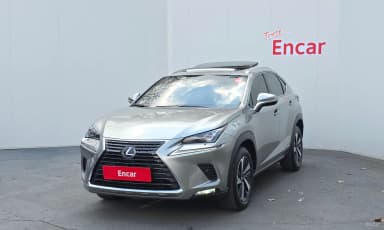 NX300h