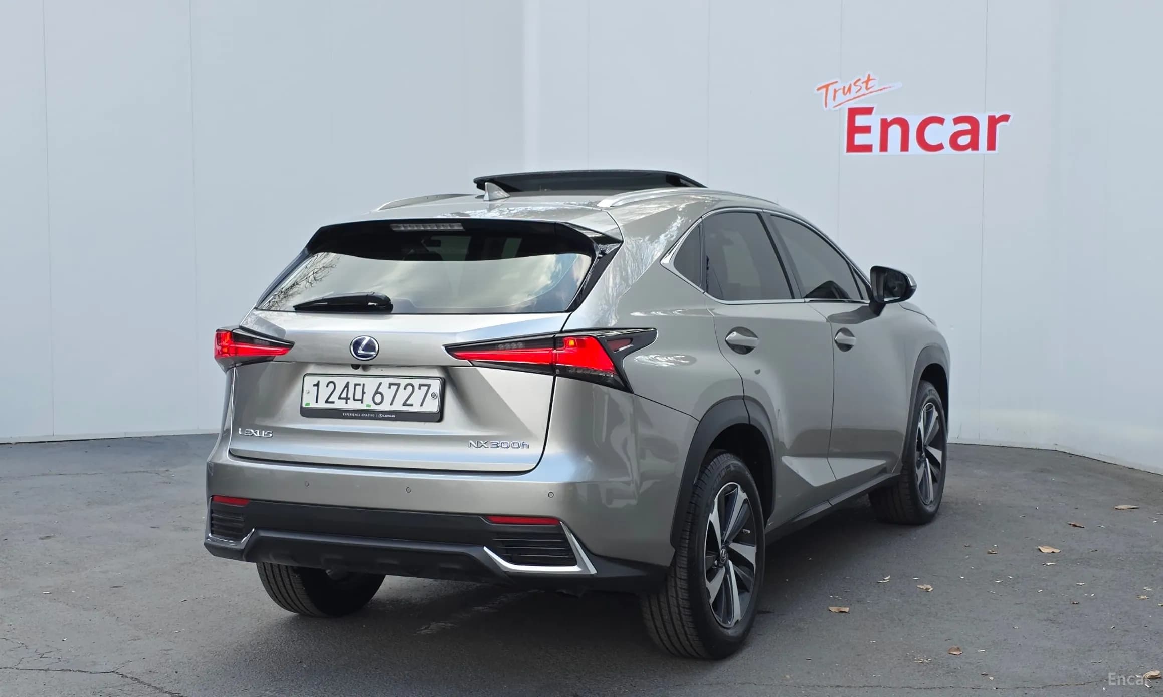 NX300h