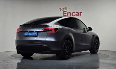 Model Y
