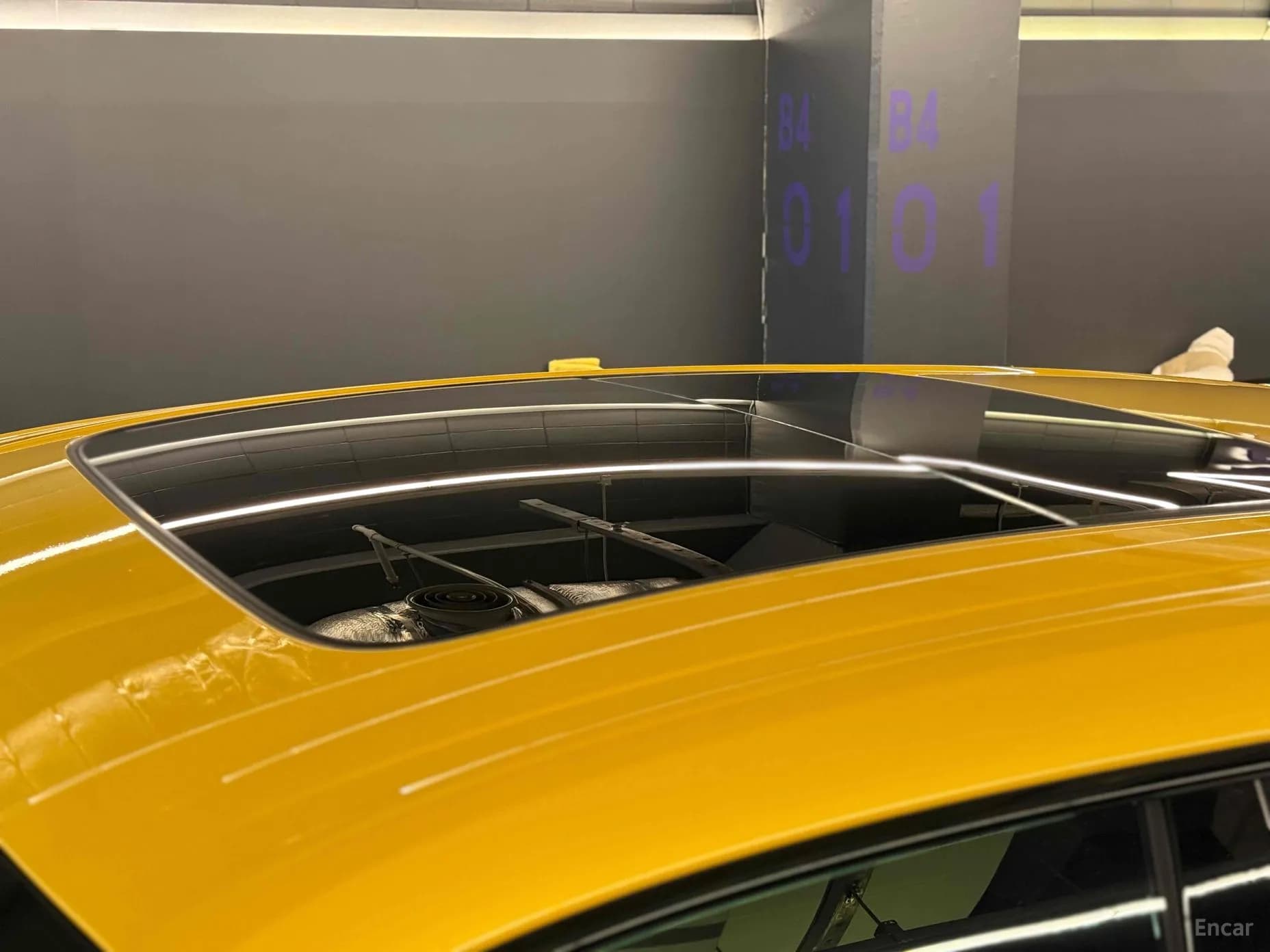 Urus