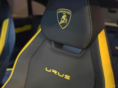Urus