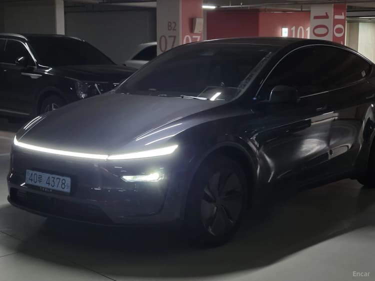 Model Y