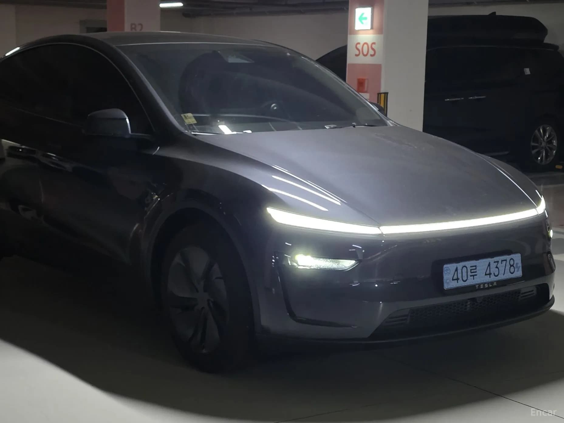 Model Y