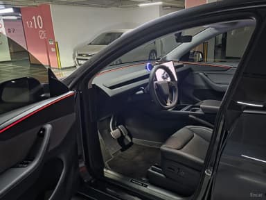 Model Y