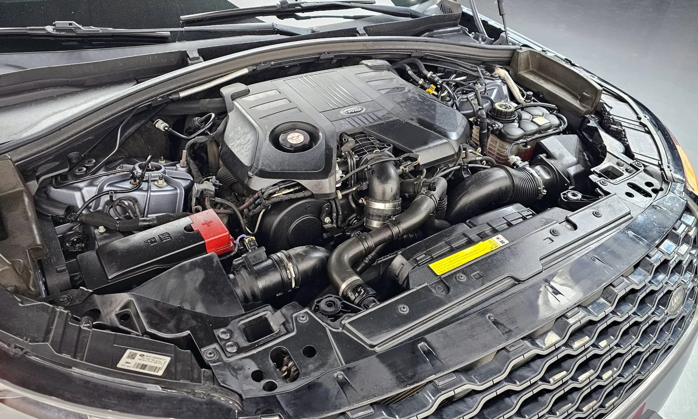 Range Rover Bella