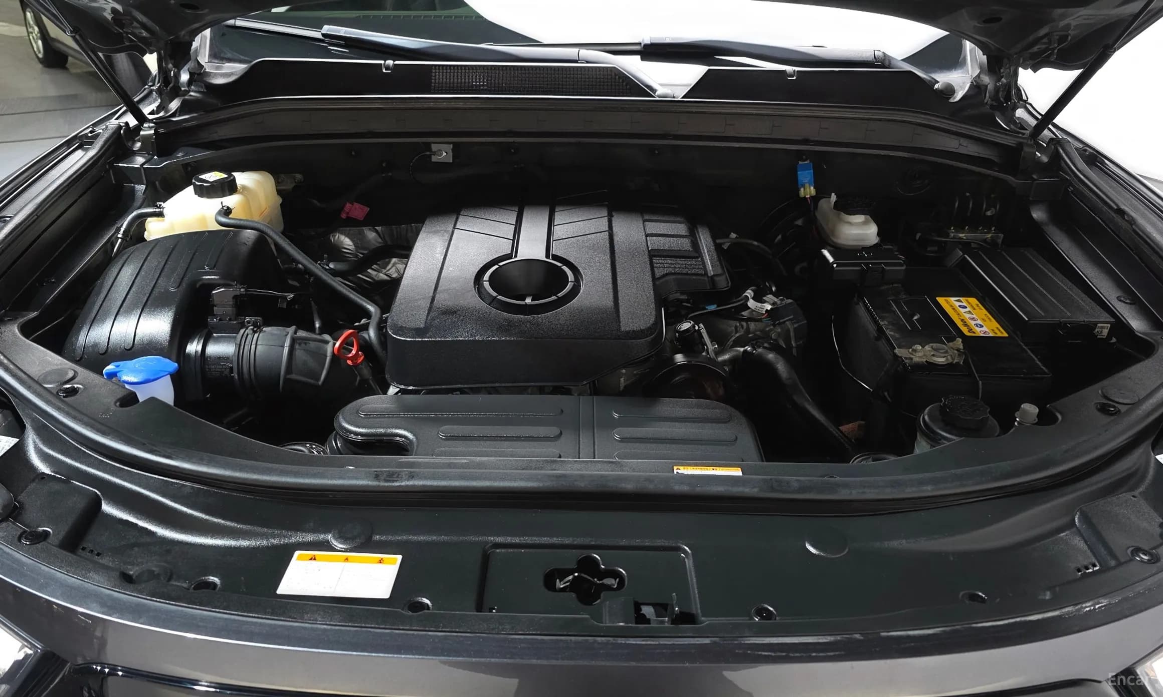 Rexton Sports