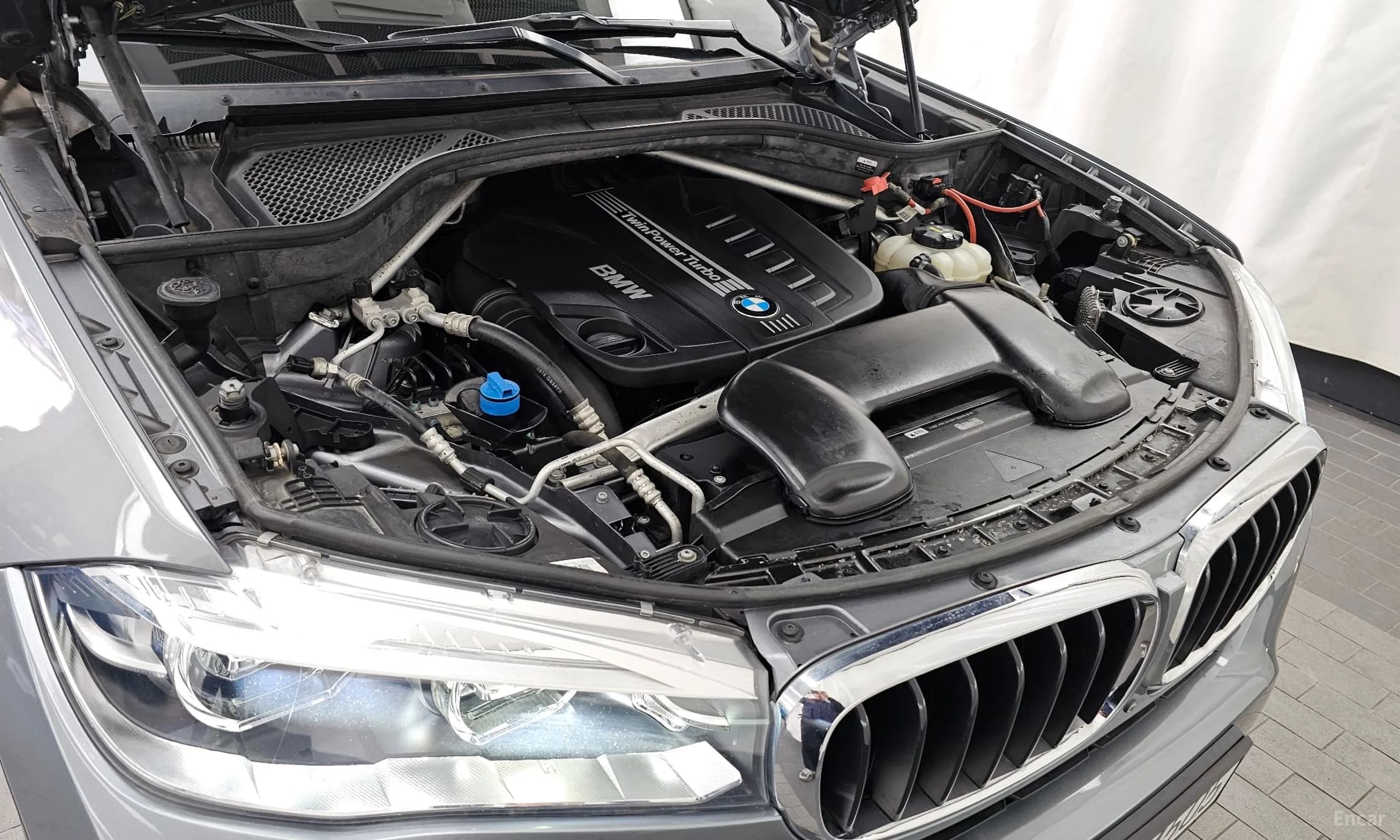 X6 (F16)