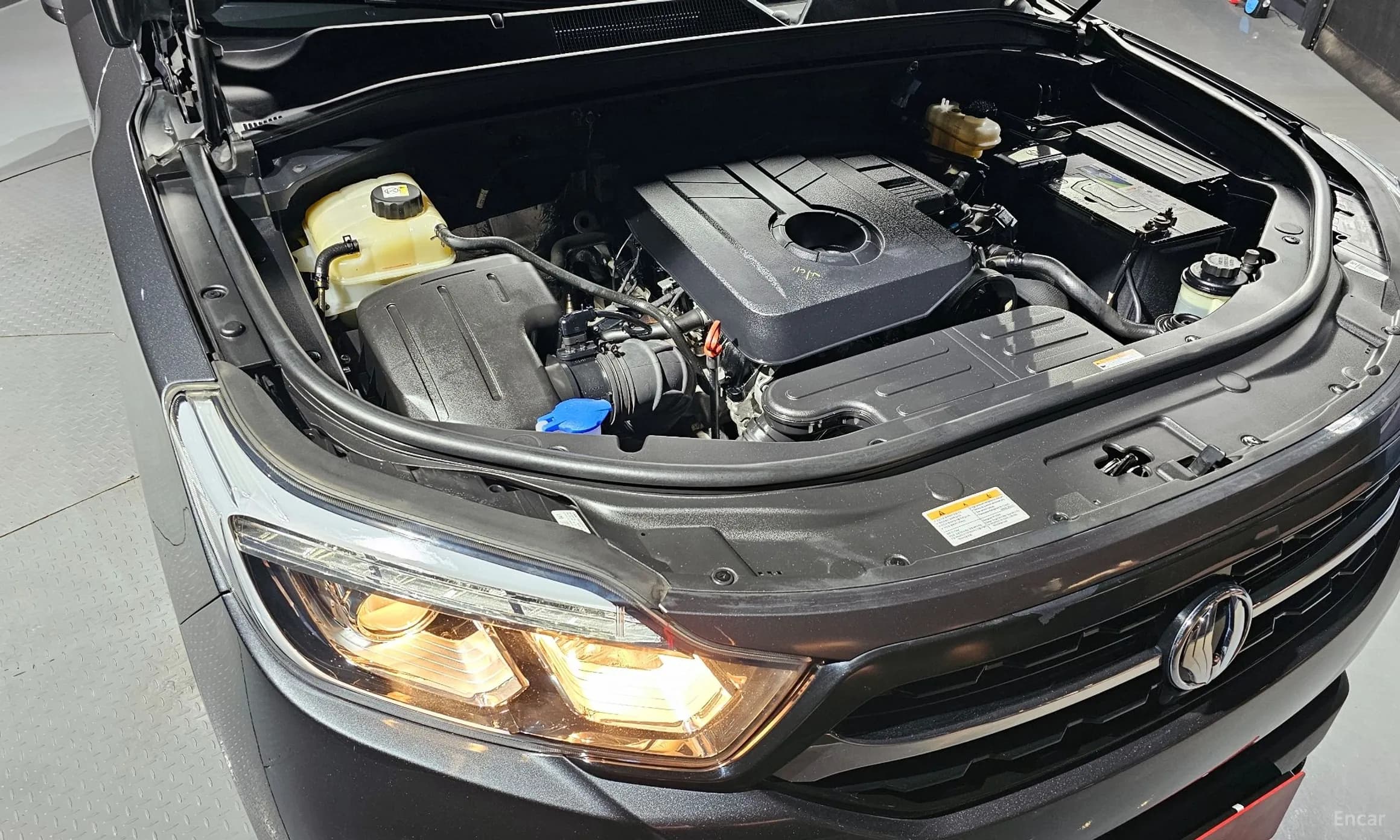 Rexton Sports