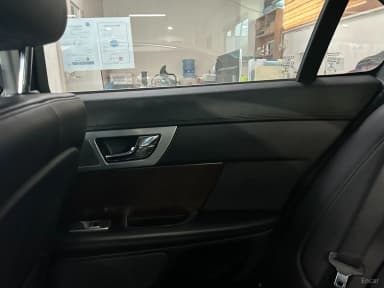 New XF