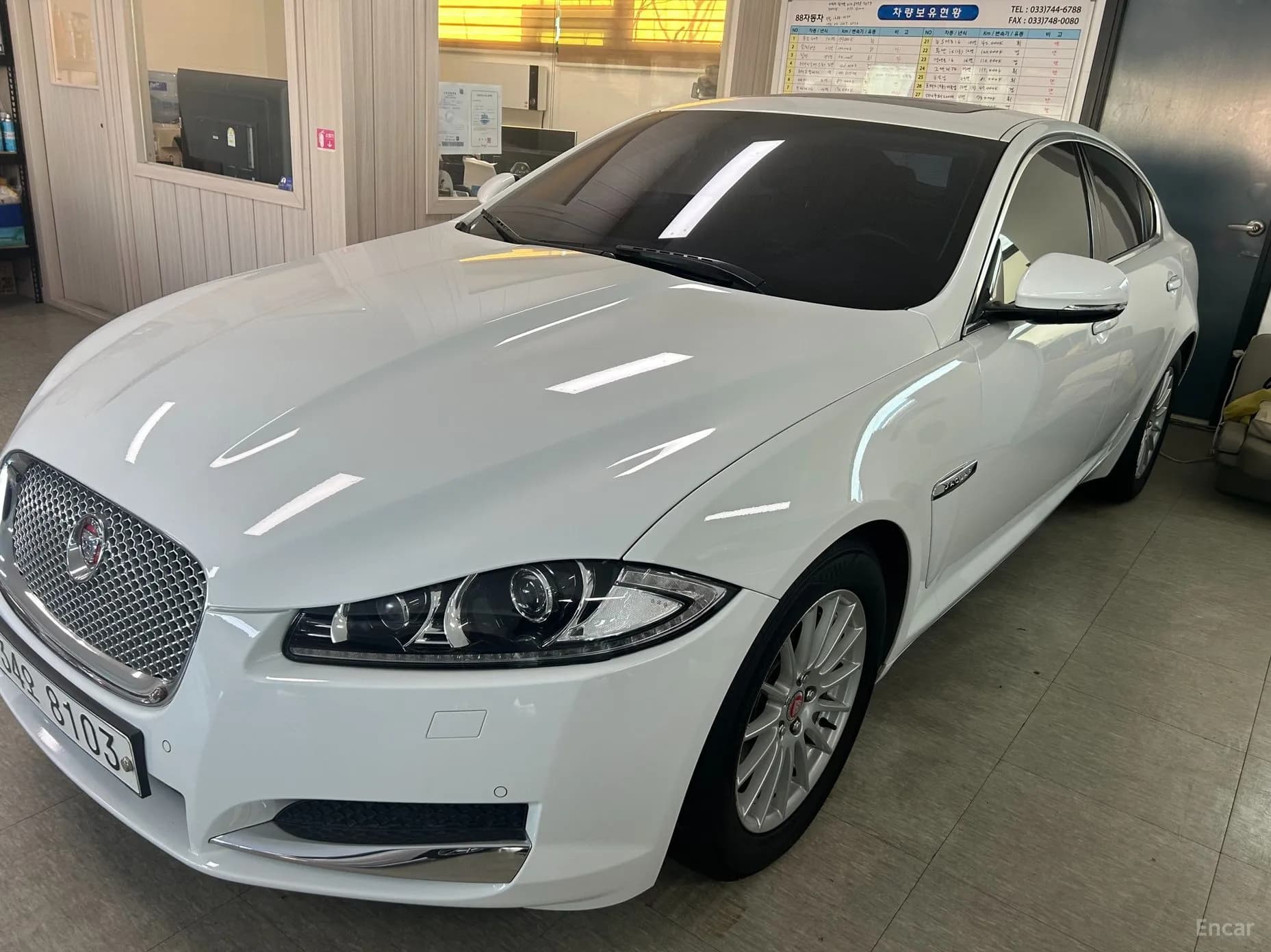 New XF