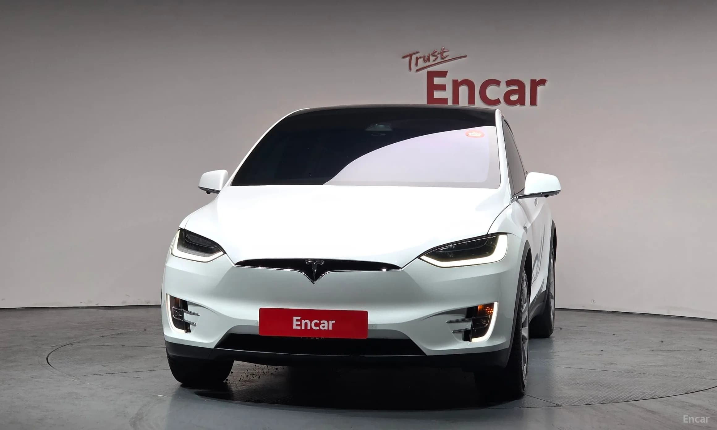 Model X