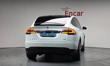 Model X