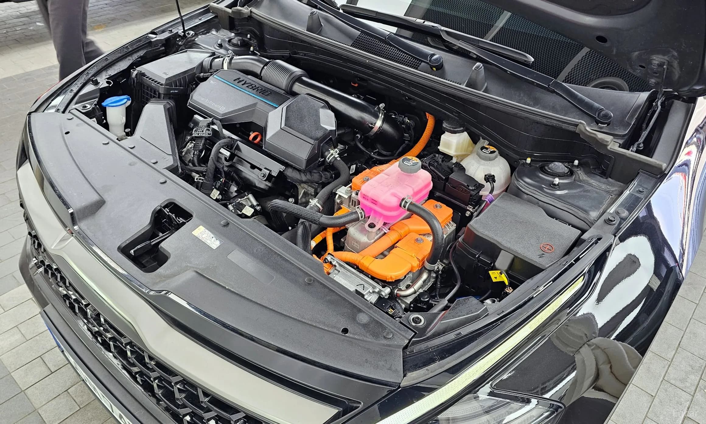 Sportage 5th Generation Hybrid