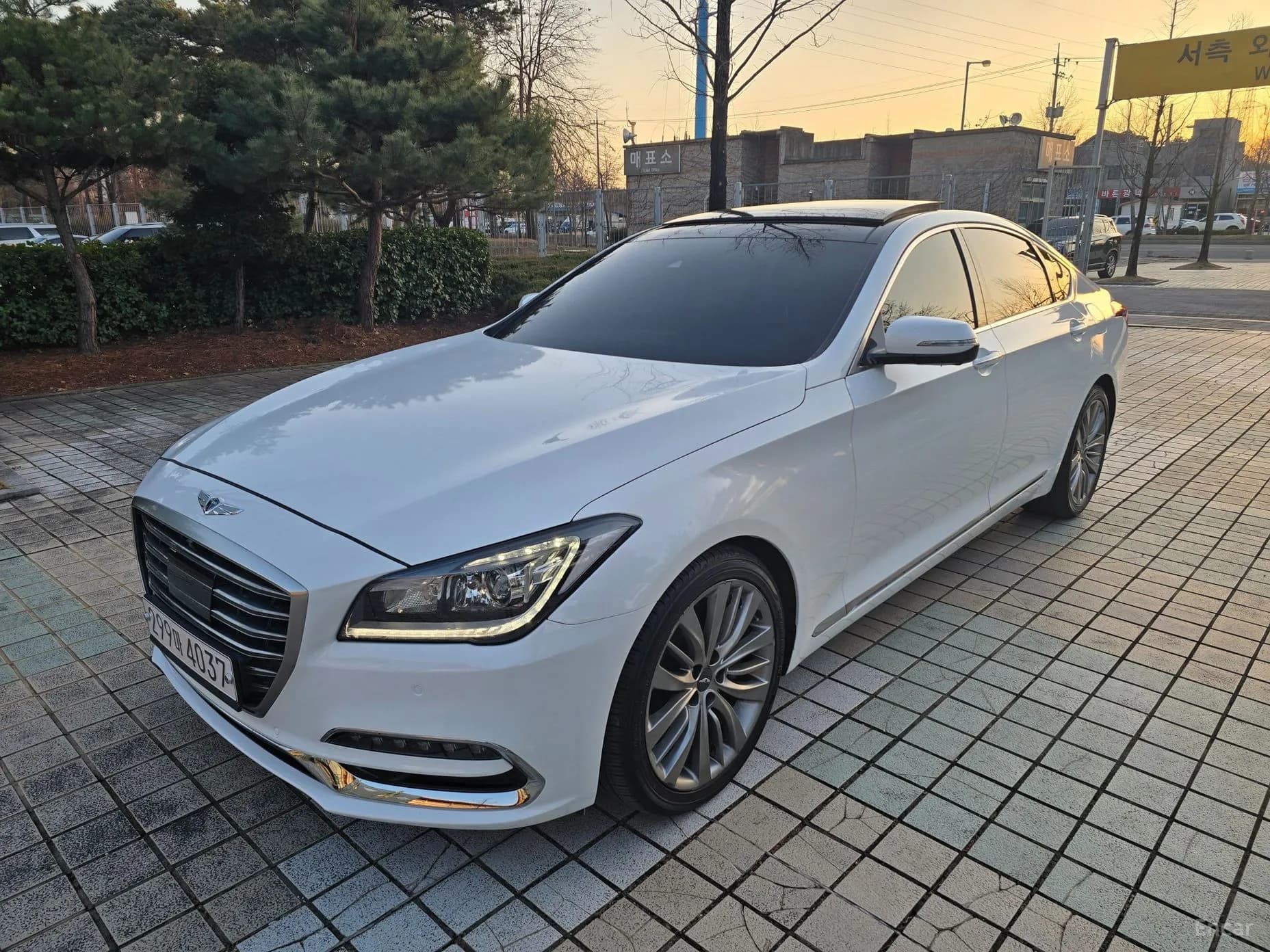 G80