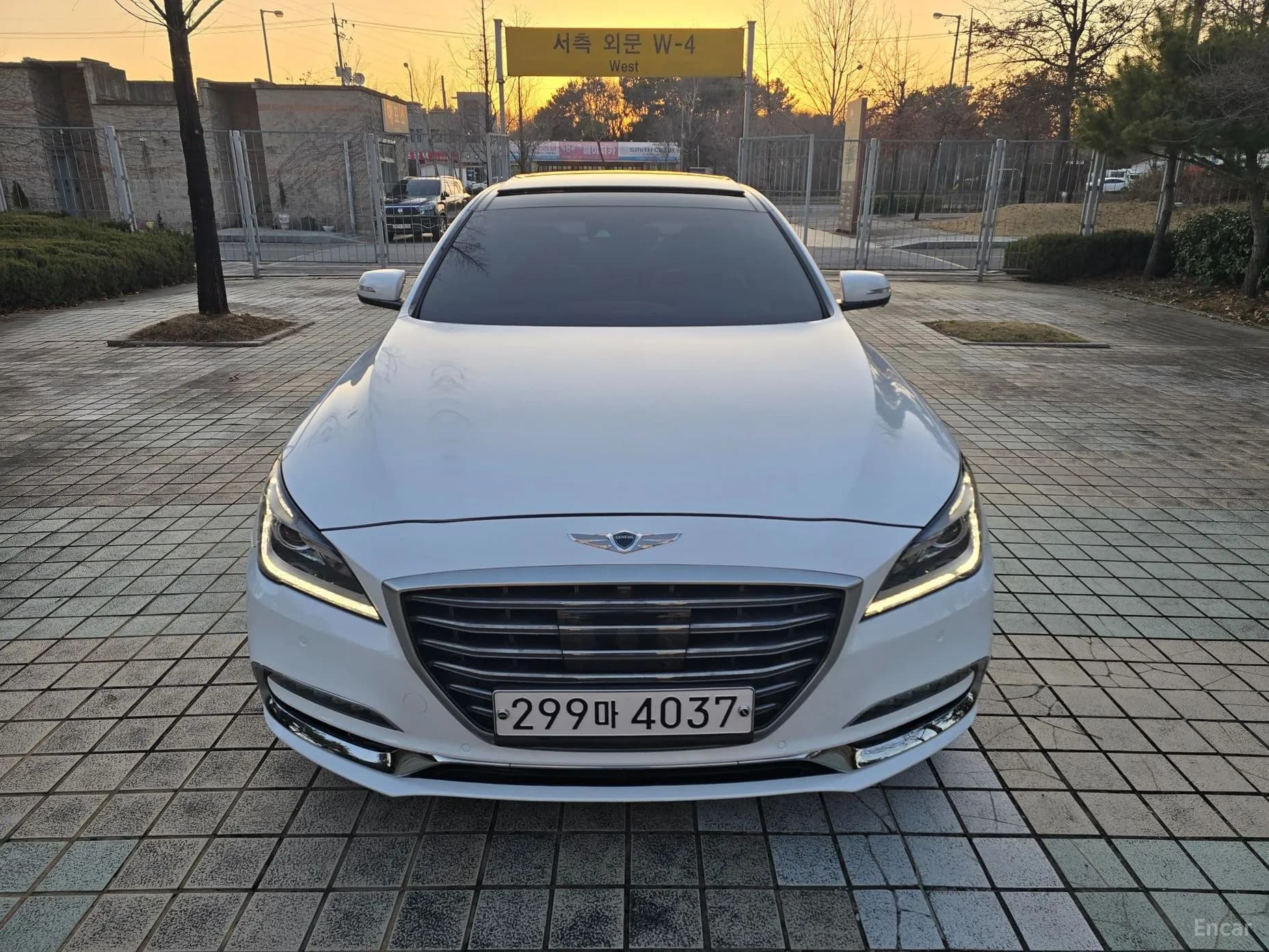 G80
