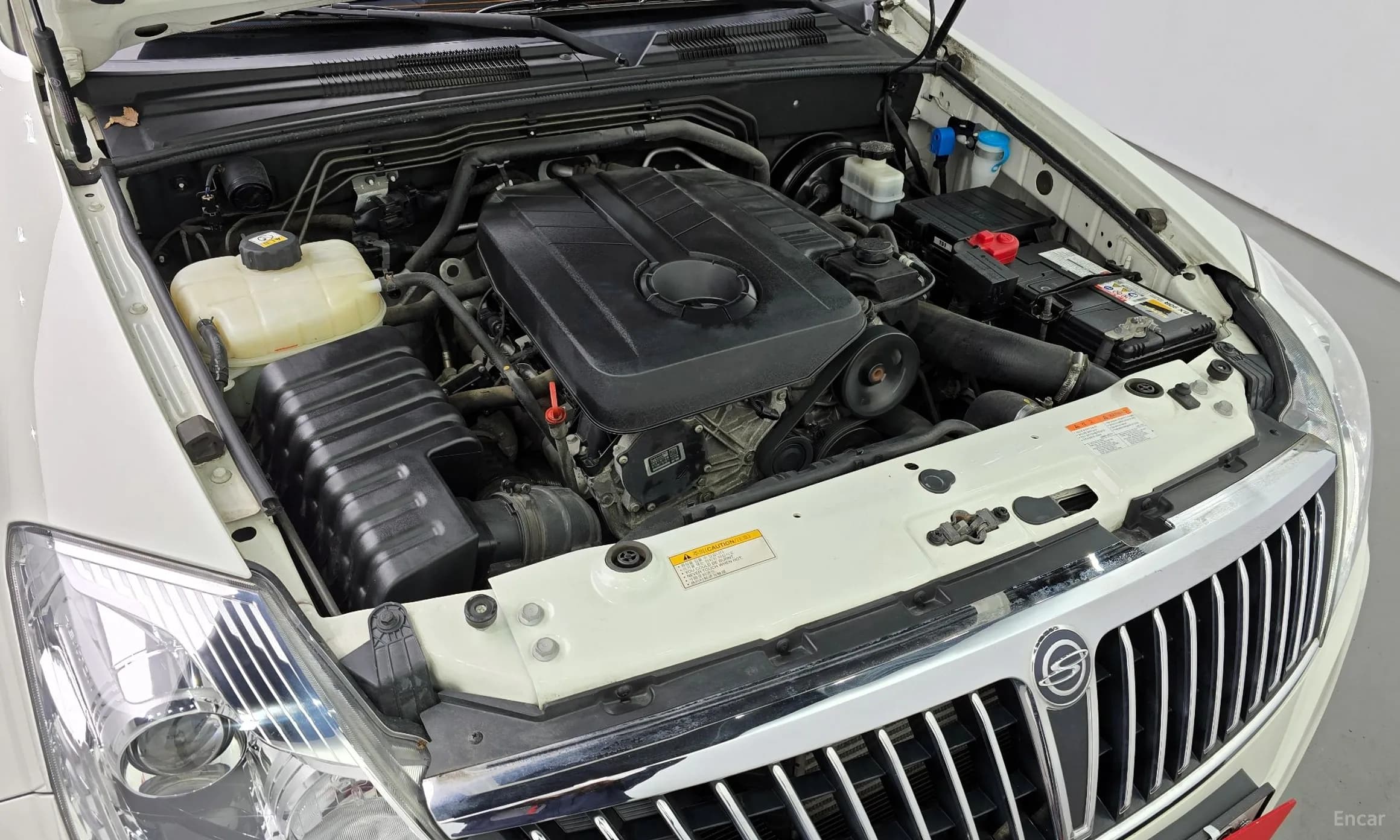 Rexton W
