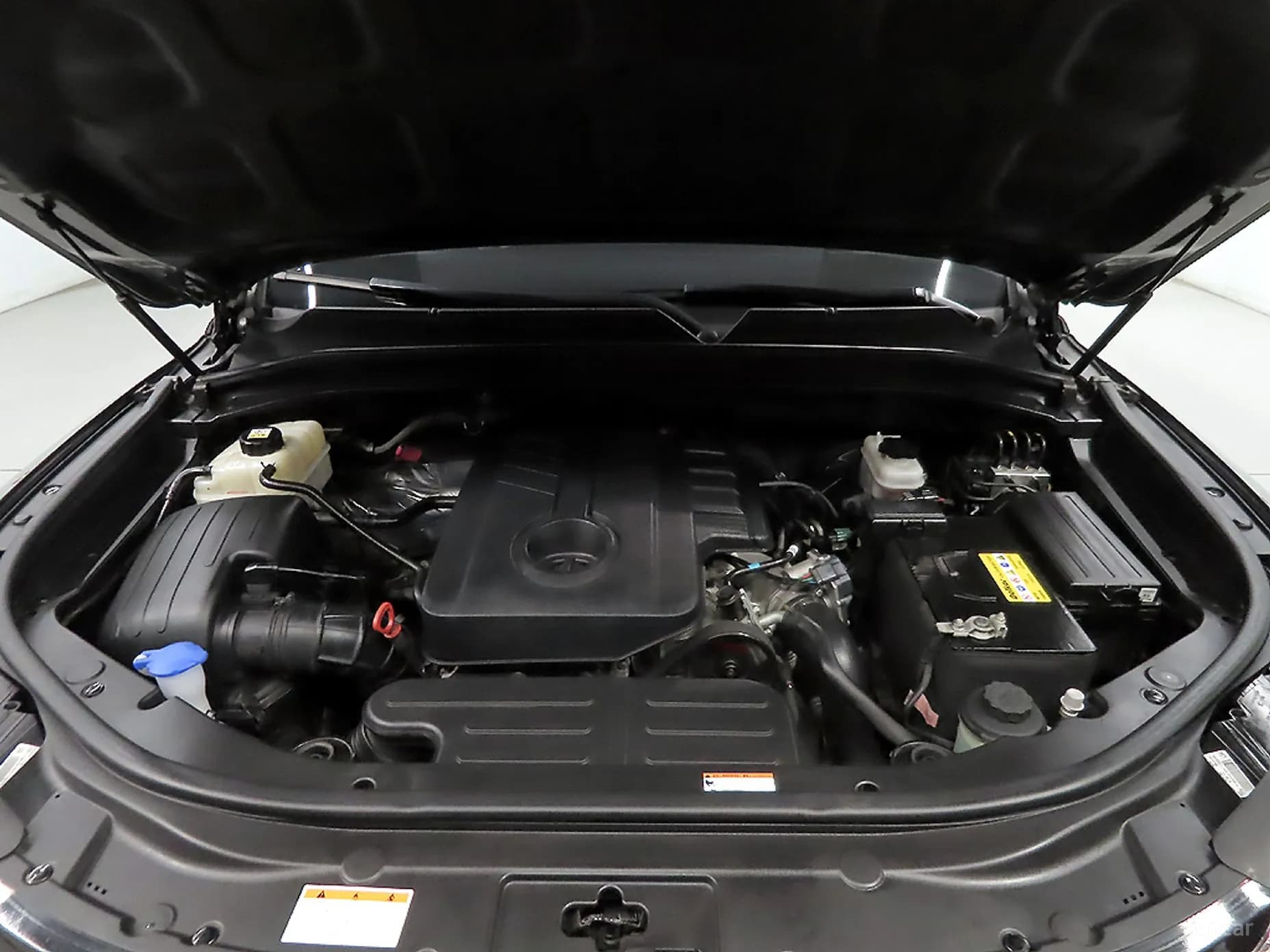 Rexton Sports