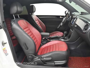 The Beetle