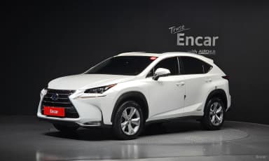 NX300h