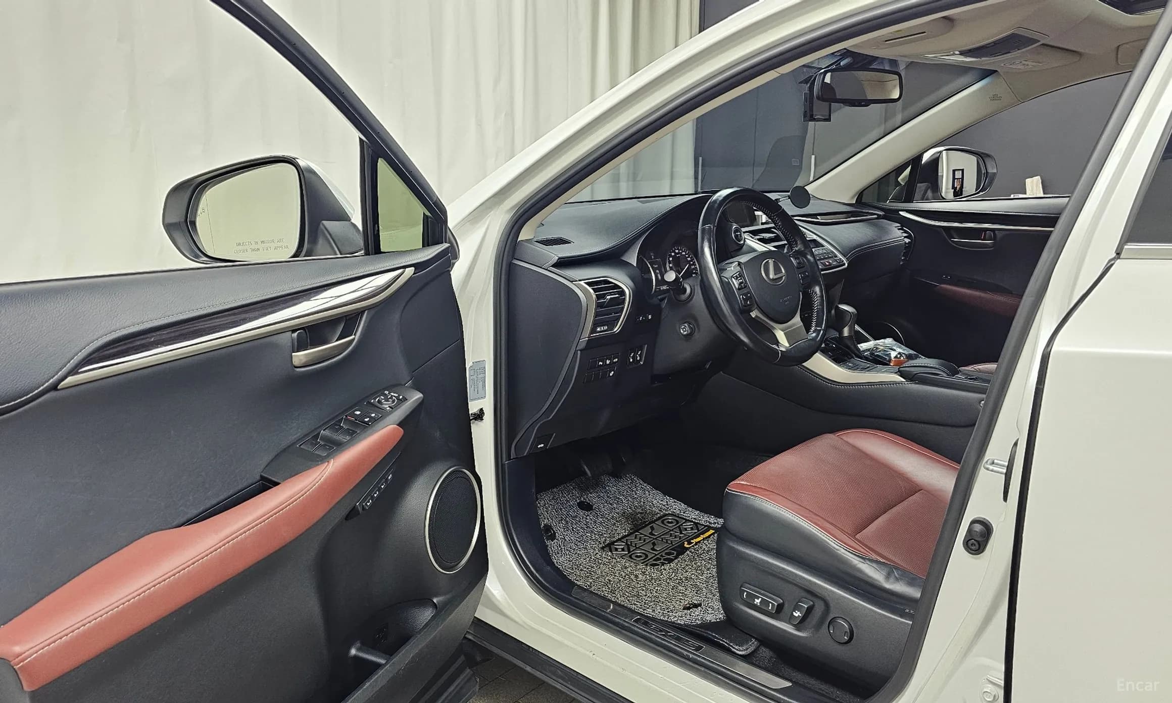 NX300h