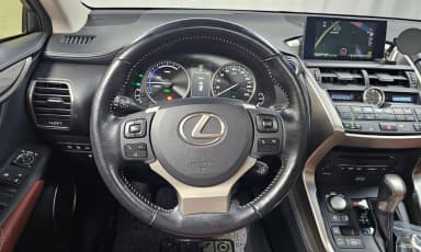 NX300h