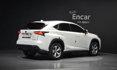 NX300h