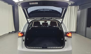 NX300h